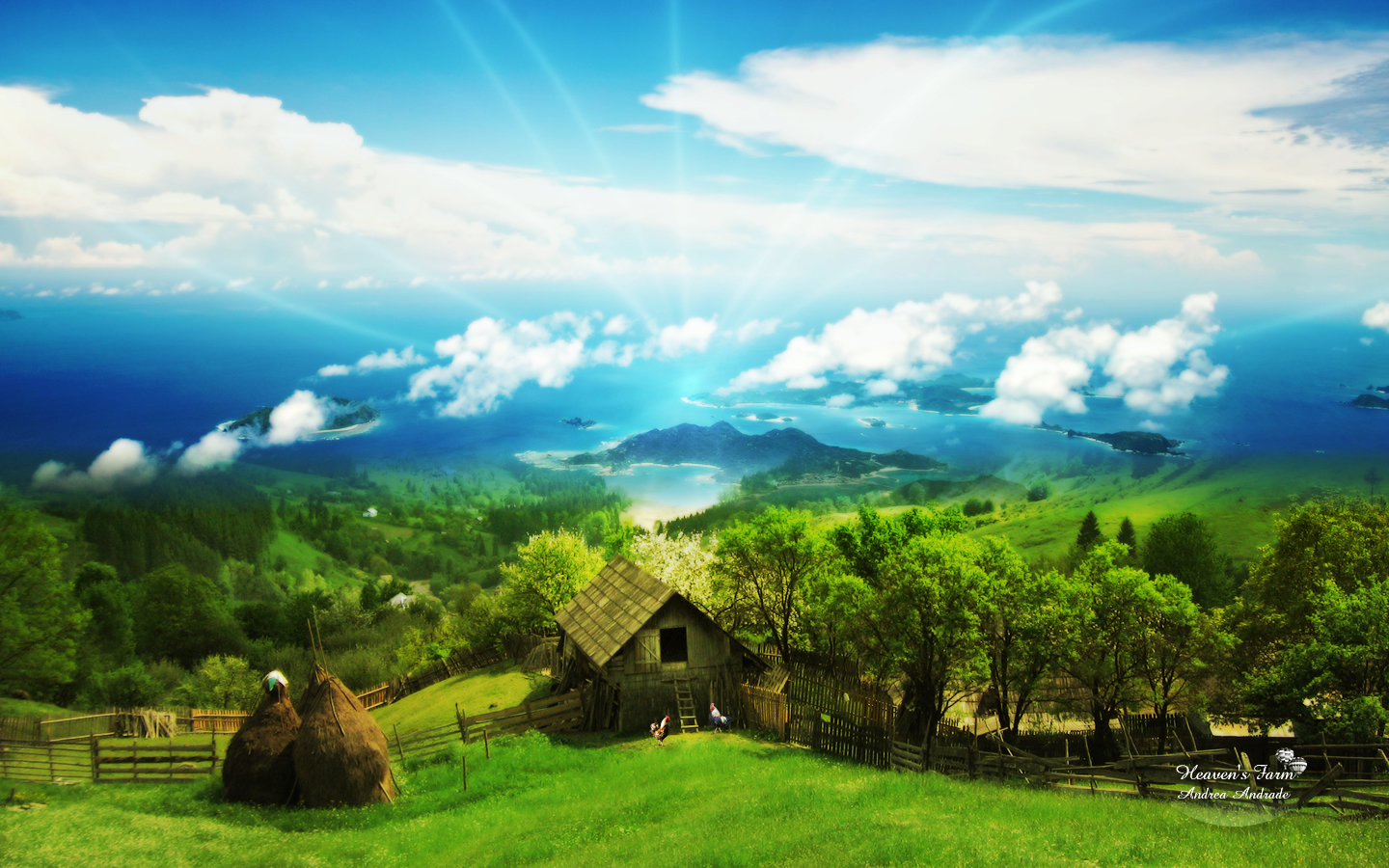 Background 3